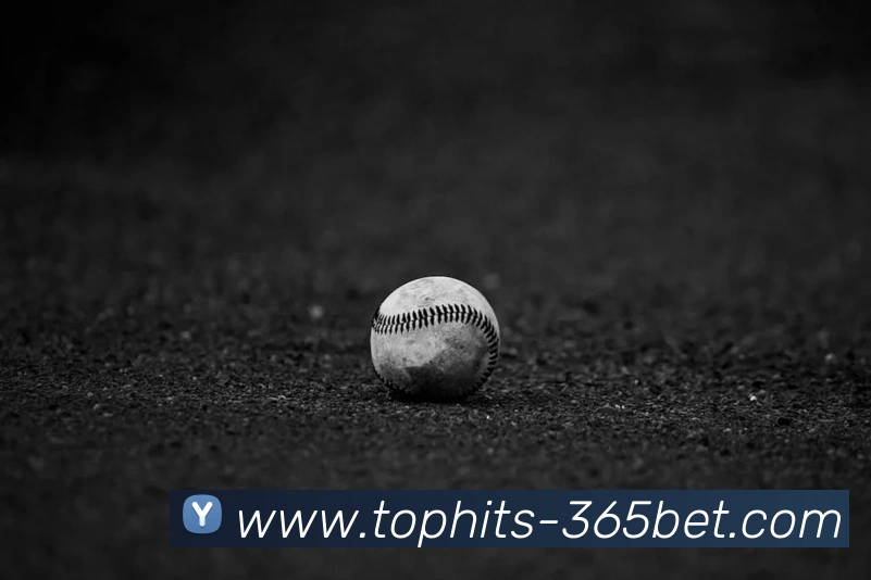 365bet平台生态图